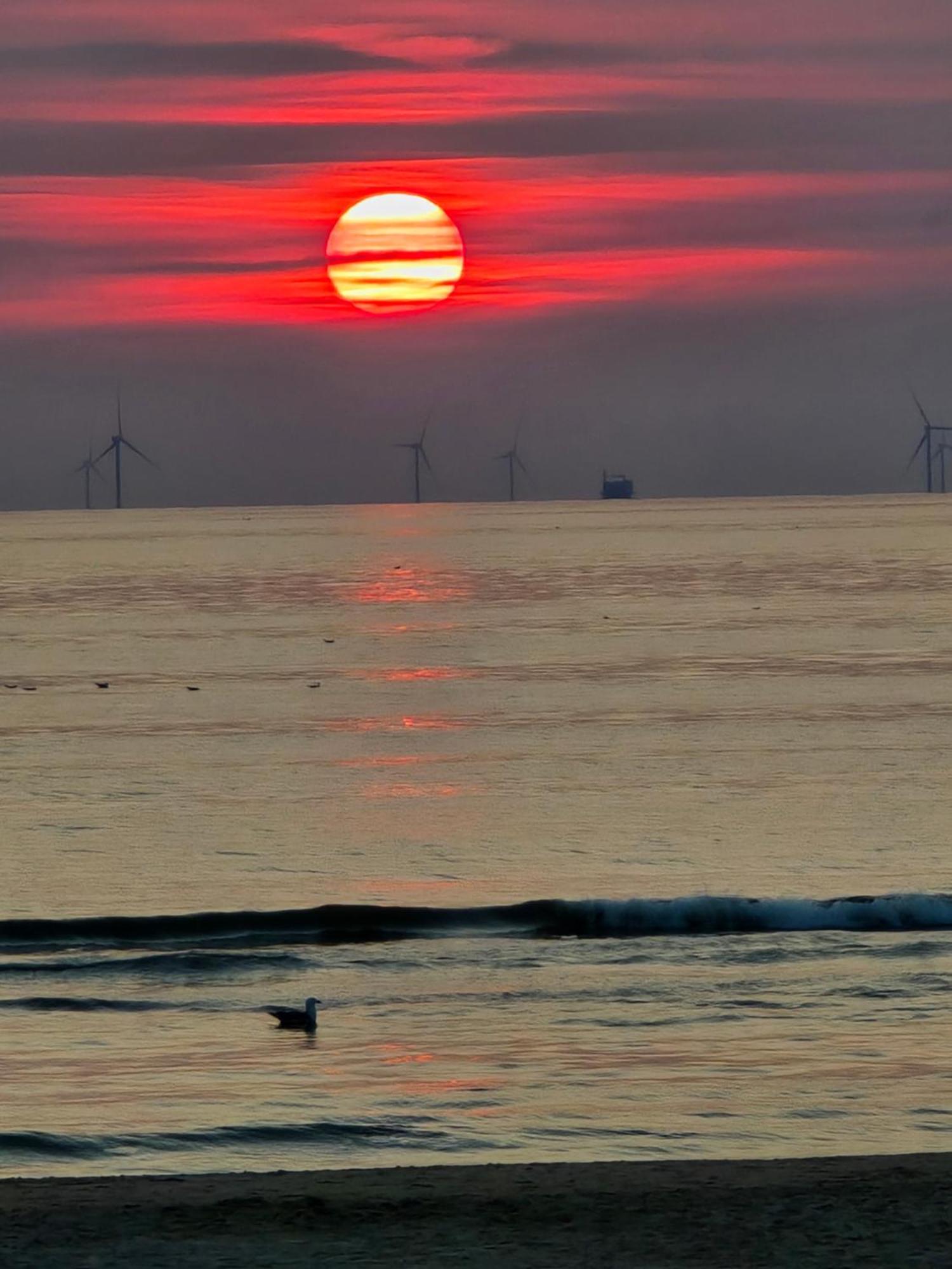 Willa Zeezuid Egmond aan Zee Zewnętrze zdjęcie